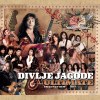 DIVLJE JAGODE