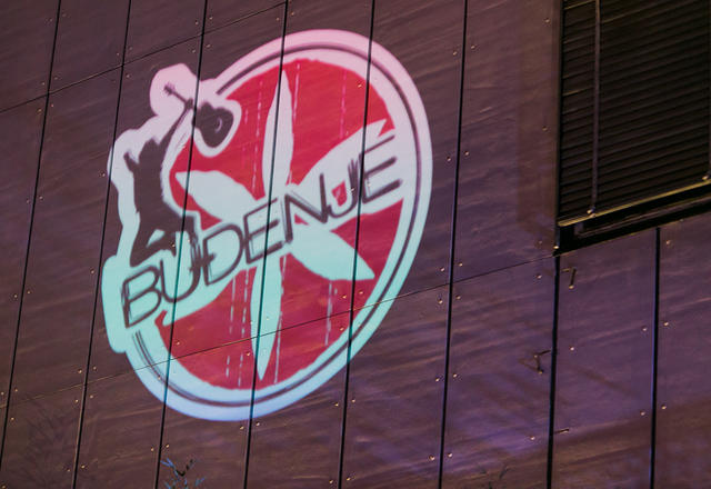 Budenje koncert (4)