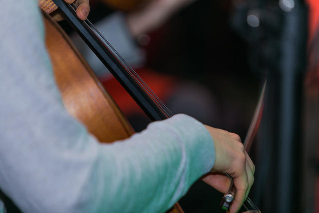 Budenje koncert (50)