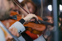 Budenje koncert (47)