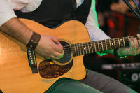 Budenje koncert (51)