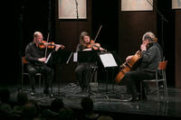 Kvartet Sebastian (30)