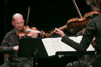 Kvartet Sebastian (69)